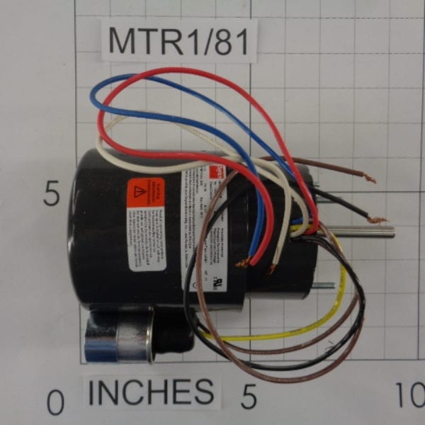 Motor