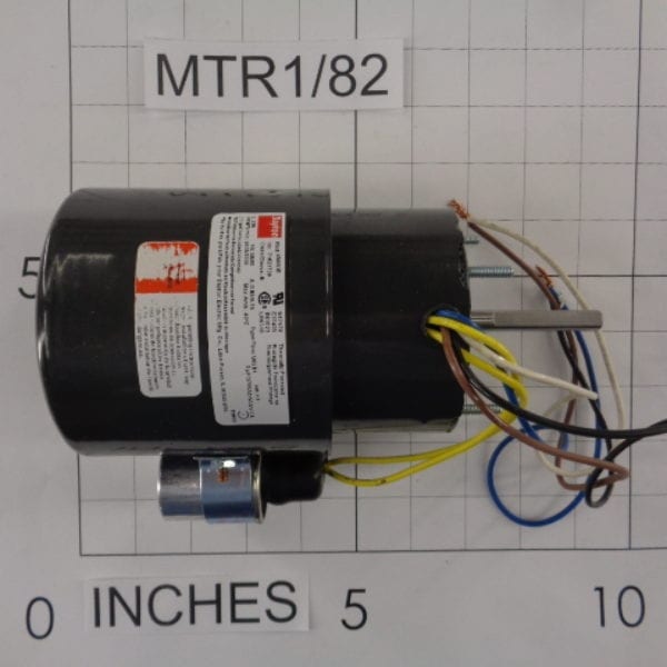 Motor